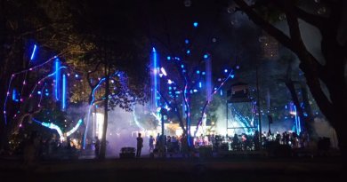 Ayala Triangle Garden's Festival of Lights